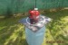 Elektrický drvič na ovocie, mlynček na hrušky, jablká. obrázok 1